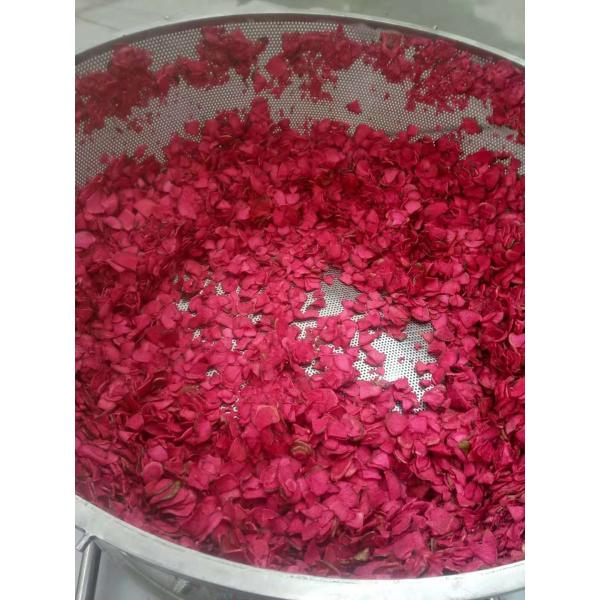 Stainless Steel 304 Automatic Chips Frying Machine For Fruit And Veggie High Fiber