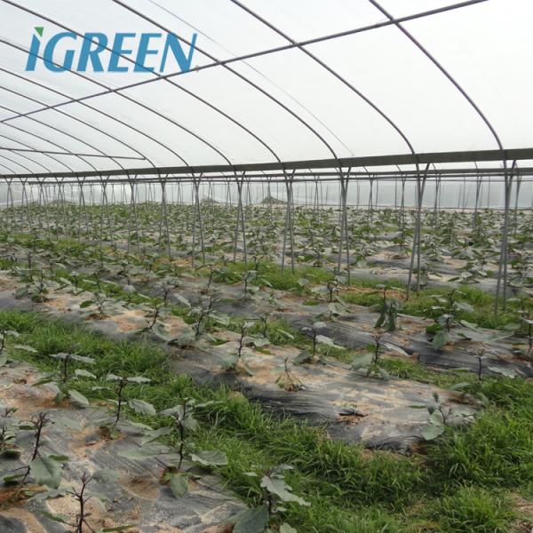 Large IGreen Agricultural Greenhouses Materials Shade Cloth Greenhouse with No Roof Vent