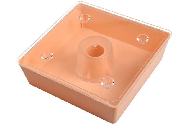Quadrado europeu plástico Honey Bee Feeder For Beekeeping