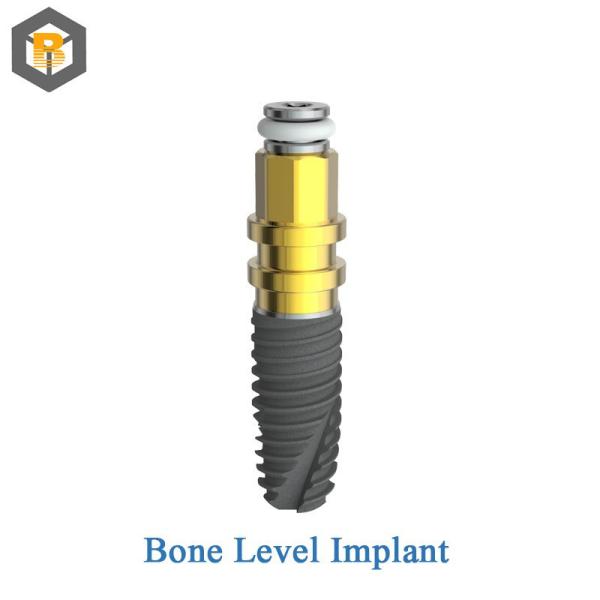 Dental Implant System Customized 2D/3D/Drawing Design and Healing Dental