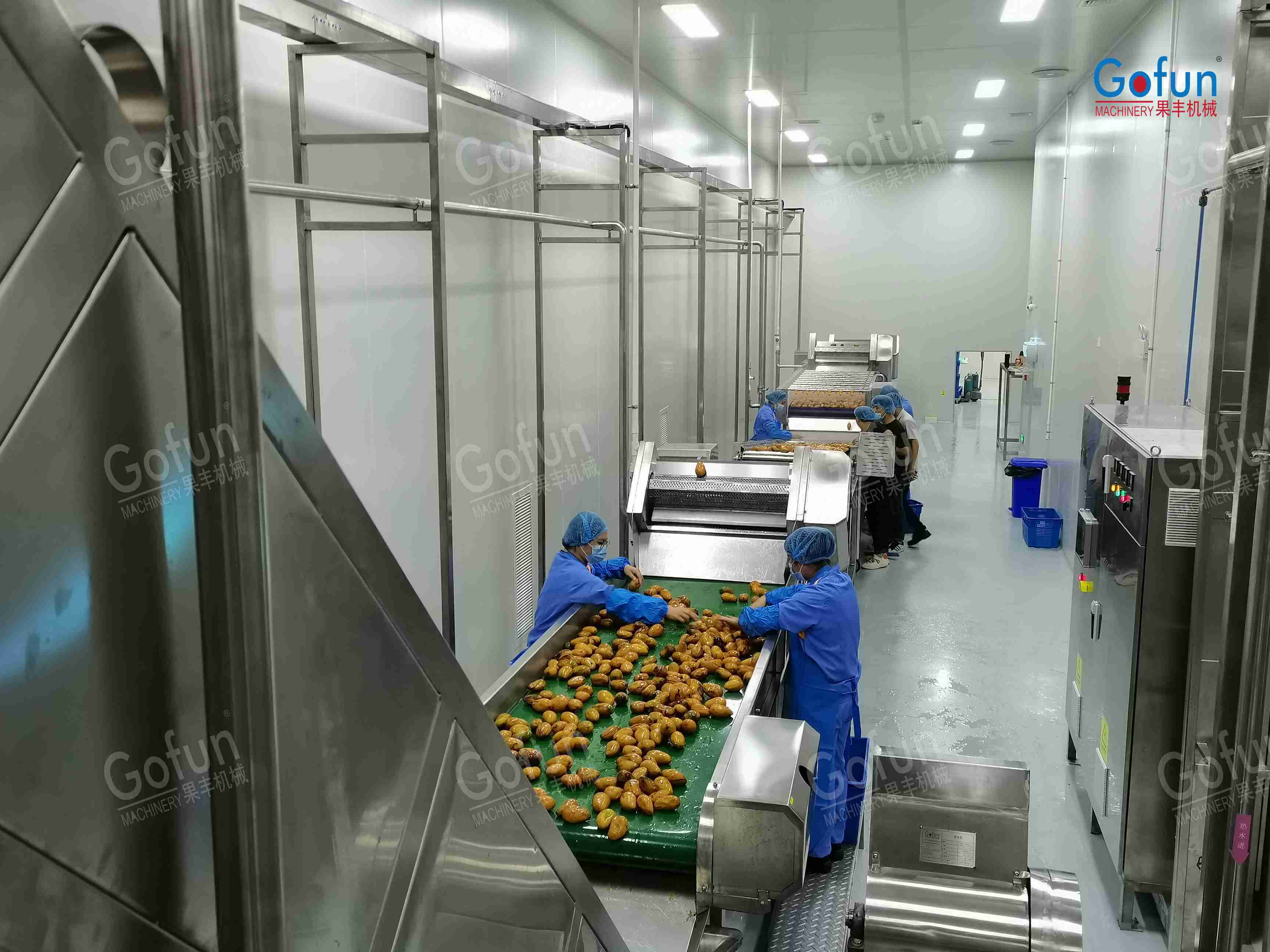 Complete Fruit Processing Line | Washing, Juicing, Concentration & Blending – One Turnkey Solution