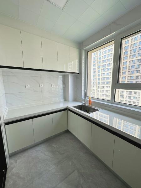 Modern Kitchen Cabinets with Quartz Countertop and Backsplash