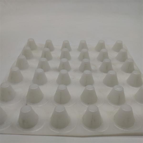68mm Height Plastic Drainage Board for Roof Garden Protect Turf and Improve Drainage