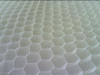 Branco azul de Honeycmb do hexágono plástico do tratamento de águas residuais dos meios do colono do tubo