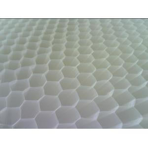 Белизна Хонейкмб пластикового шестиугольника обработки сточных вод средств массовой информации поселенца трубки голубая