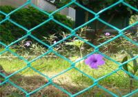 6 pieds de hauteur 3 mm Diamond Chain Link Fence en PVC revêtu Cyclone fil de fer Mesh
