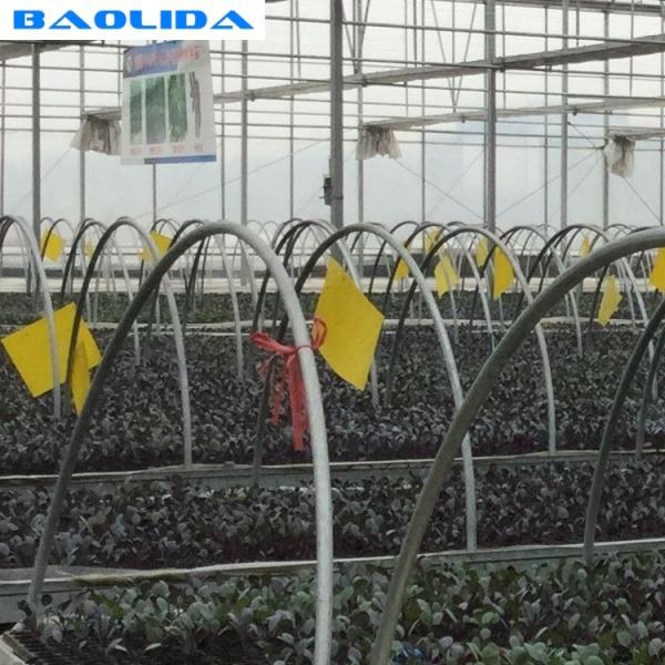 Galvanized Greenhouse Rolling Benches / Greenhouse Benches And Tables