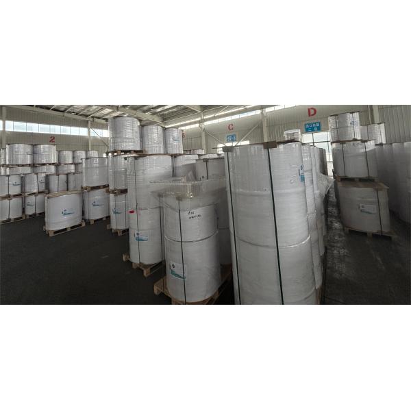 Papel térmico sin BPA Jumbo Roll Grammage 45 g / 55 g / 60 g / 70 g