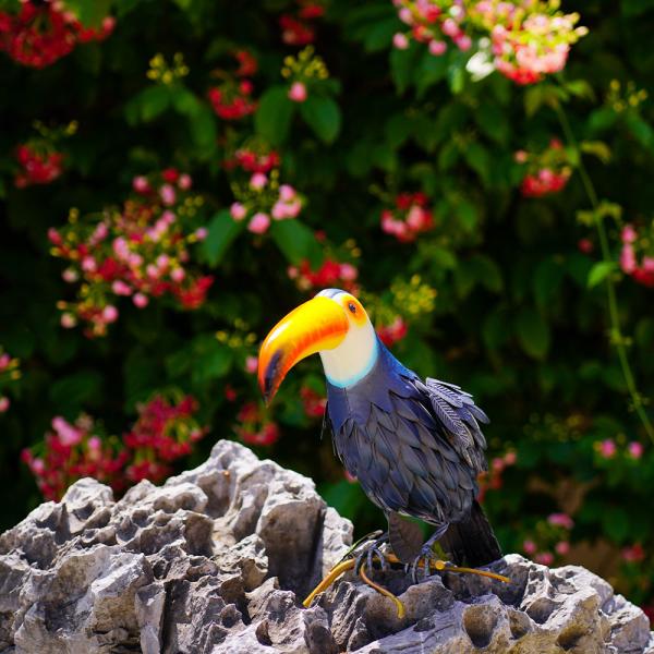 Toucan Metal Garden Ornaments Vivid Iron Garden Decoration Handmade