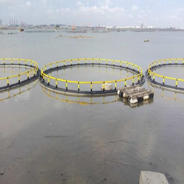 Custom Round Floating Aquaculture Cage Wind Corrosion Resistant Fish Net Cage Complete Accessories for Tilapia Large Scale Breeding