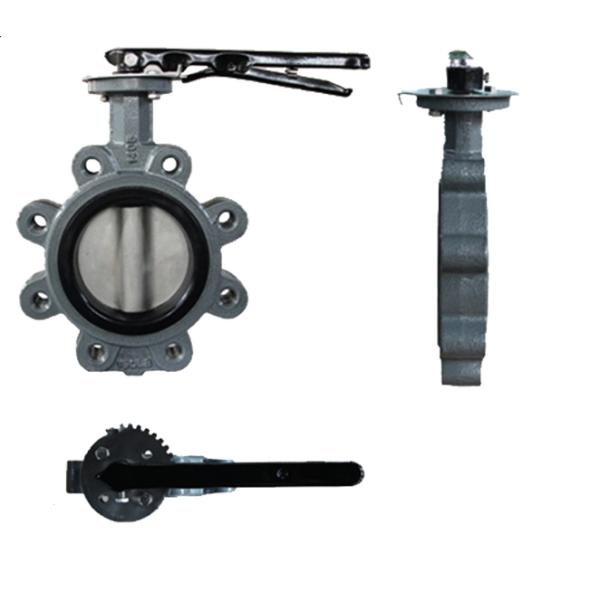 Customized Support ODM Manual Stainless Steel Worm Gear Lug Butterfly Sanitary Valve