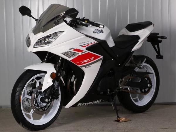 Gas Motor  Street Sport Motorcycles , 250cc Cool Sport Bikes / Street Bikes White Color