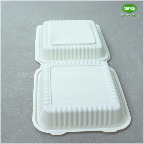 Duarable 8x8 Inch Bioplastic Hinge Food Container, 9x9inch Corn-Stach Microwave Safe Green/Healty Restaurant Packing Box