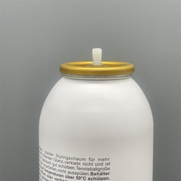 Valve de pulvérisation de mousse pour cheveux pour le coiffage de salon à domicile Valve en aluminium inversée