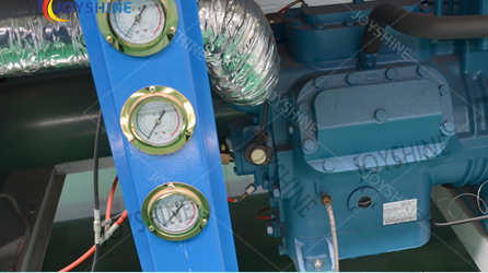 Tunnel IQF Fast Freezing Cryogenic Blast Freezer Machine With Freezing Time