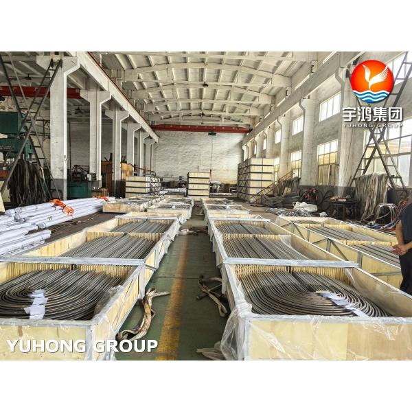 A213/SA213 TP304L Seamless Heat Exchanger Tube U Bend Tube Stainless Steel