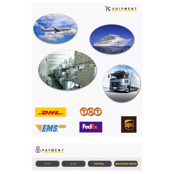 Ясные стекла титана ацетата объектива, Unisex OEM стекел рамки металла