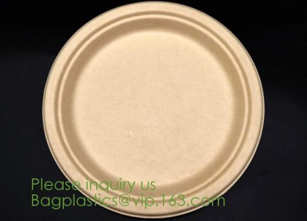 Food Eco Friendly Dinnerware Fruit Snack Biodegradable Corn Starch PLA Foamed