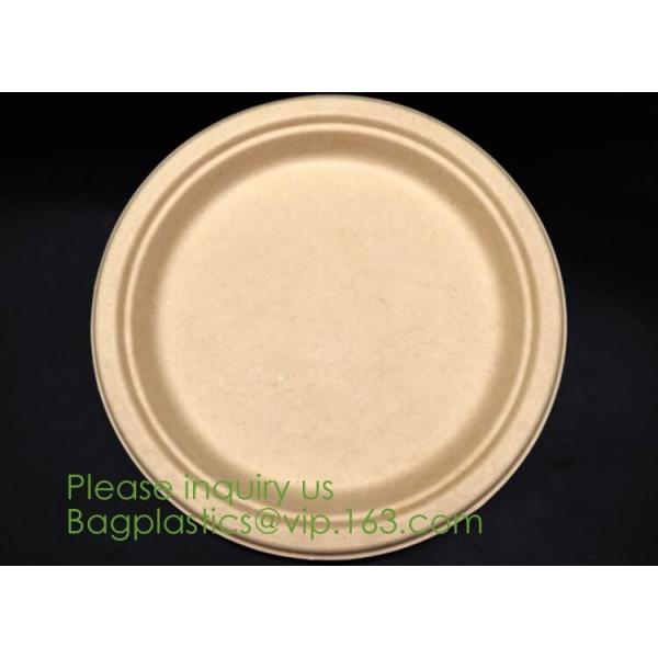 Food Eco Friendly Dinnerware Fruit Snack Biodegradable Corn Starch PLA Foamed