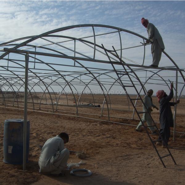 IGreen Small Single Layer Agricultural Greenhouse with Film Cover for Middle East & Gulf Countries and Desert Climate