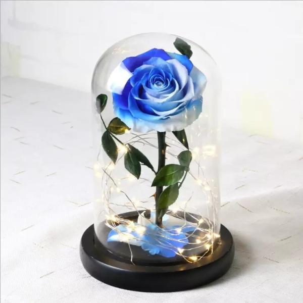Beautiful Preserved Rose in Glass Dome flower arrangement for lover Everlasting Flowers Preserved Flowers