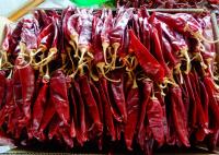 Pimenta vermelha secada salsas de Guajillo Chili Spicy Flavor 11cm Jinta