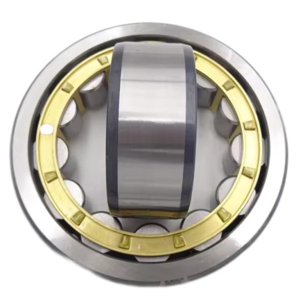 Cylindrical Roller Bearings N220EM NU220EM NJ220EM NF220EM for Machinery Repair