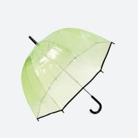Parapluie transparent droit de dôme de POE avec la poignée de forme de J