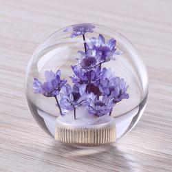 Concevez le bouton en fonction du client en cristal de changement de vitesse de boutons de changement de vitesse de voiture de logo avec la fleur sèche à l'intérieur de la boule de bouton de vitesse de décalage de résine