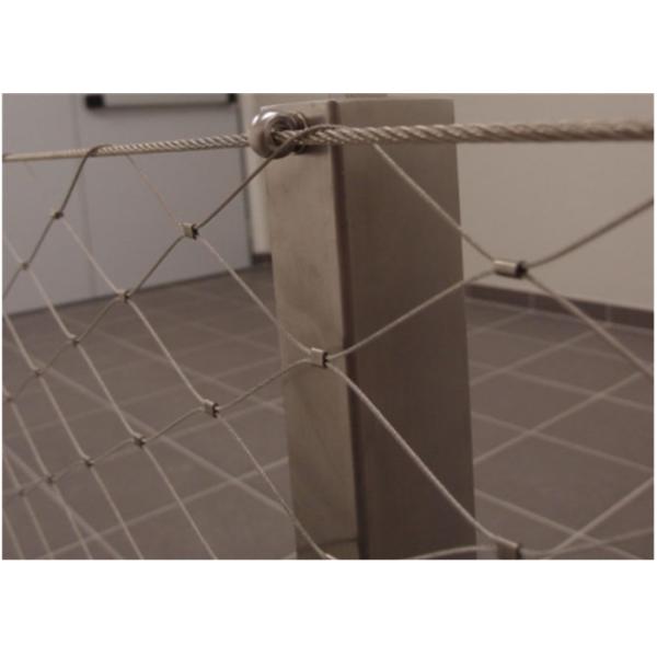 завода нержавеющей стали 1.5mm сетка стены толстого взбираясь для сада