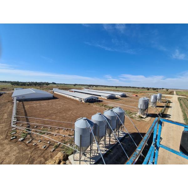 Maison de porcherie en acier Installation sur place Construction de poulailler