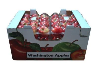 Rectangle Corrugated Fruit Packing Boxes For Strawberries , Glossy / Matt Lamination
