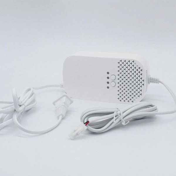 EN50291 Carbon Monoxide Alarm Detector Approved For Puerto Rico Household