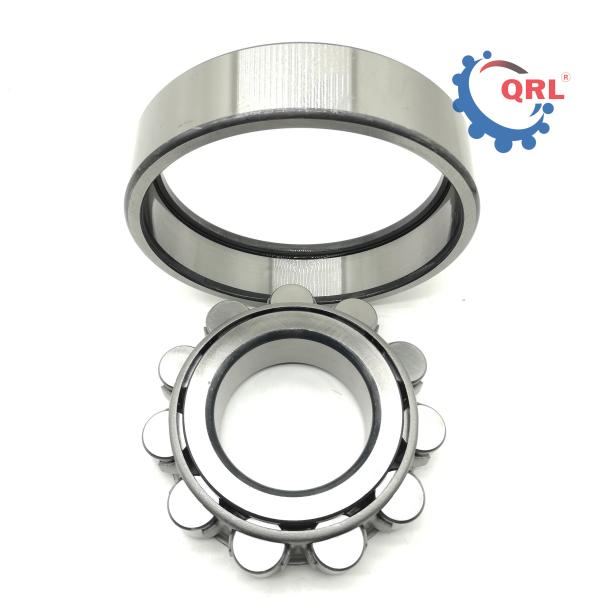 NF313 | Cylindrical Roller Bearing 65x140x33mm Shipping Weight 2.4100kg
