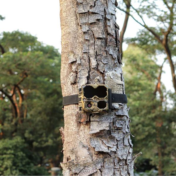 Programmable камера 5MP датчика движения живой природы 4K наблюдая камера следа