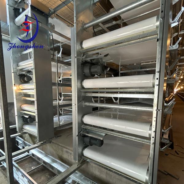 PP Manure Cleaning Belt Chicken Manure Conveyor Belt For Poultry Cage