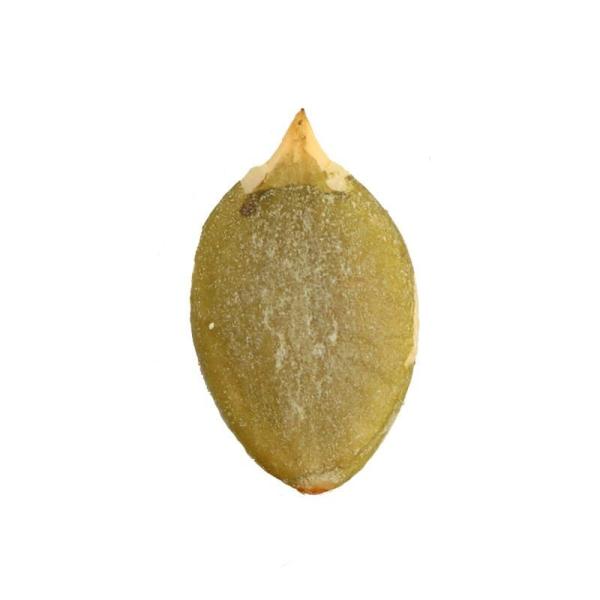 Amazon venda quente de alta qualidade sementes de abóbora grãos para venda por atacado da fábrica da China com preço barato