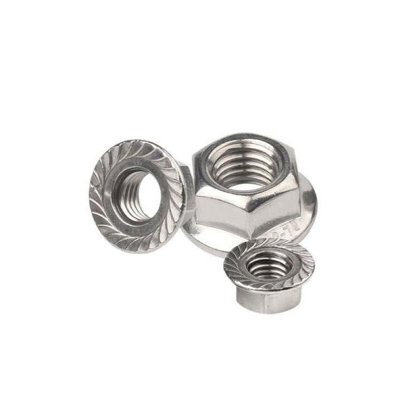 Customized nut  Hex Nut Hexagon Flange nut