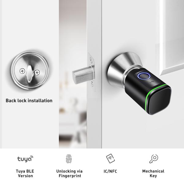 Tuya Apartment Fingerprint Lock with Wifi Network and Waterproof Brass Mortise Lock
