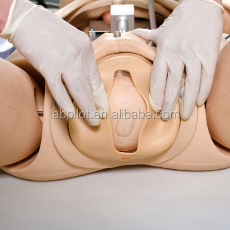 Advanced PVC Obstetrics Skills Training System for Childbirth Emergency Care and Nursing