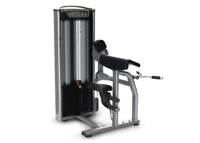 Músculo comercial profissional do equipamento do Gym que constrói o serviço do ODM do OEM