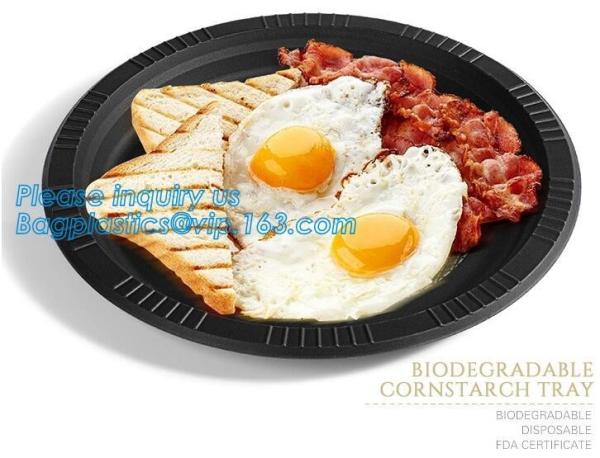 Eco Friendly Biodegradable Sugarcane Bagasse Plates Disposable,Sugarcane Bagasse Pulp Disposable Biodegradable Plate For