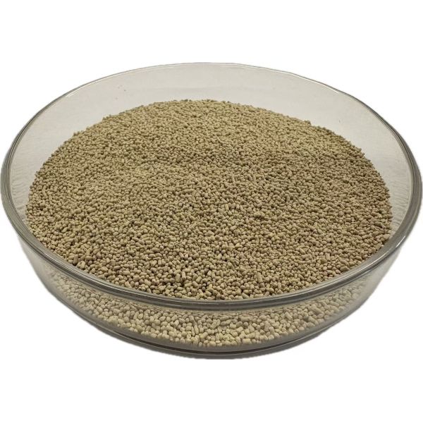 Animal Feed Lipase Enzyme for Improved Fat Digestibility and Energy Utilization | LIPOZYME