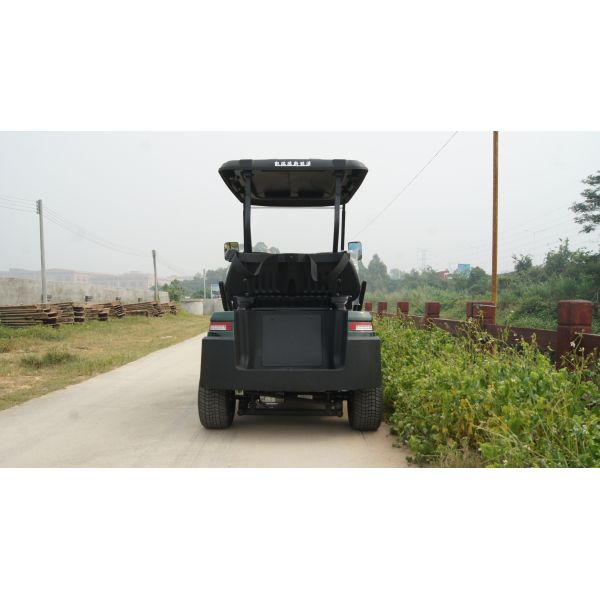 2-Seat Electric Golf Buggy with 30% Climbing Ability 48V Lithium Battery Range For 50-70 km