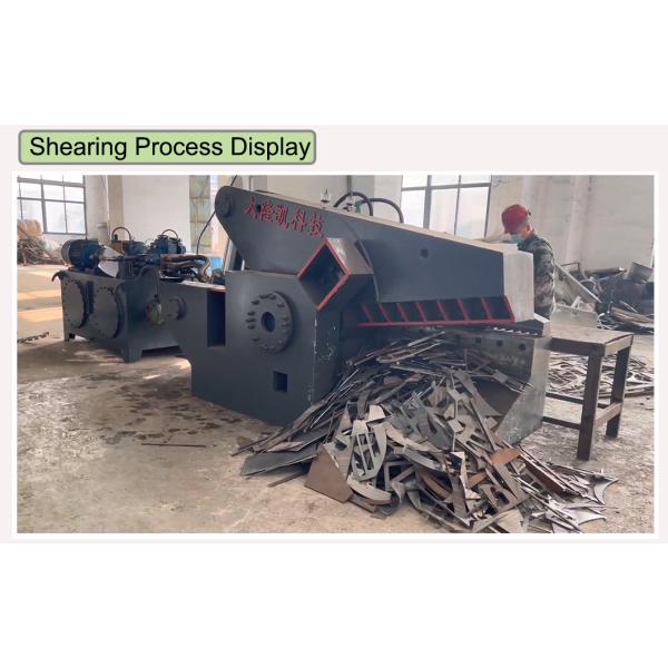 Q43 - Гидравлические ножницы металлолома аллигатора 500 повторно используя машину 5000 KN 710mm