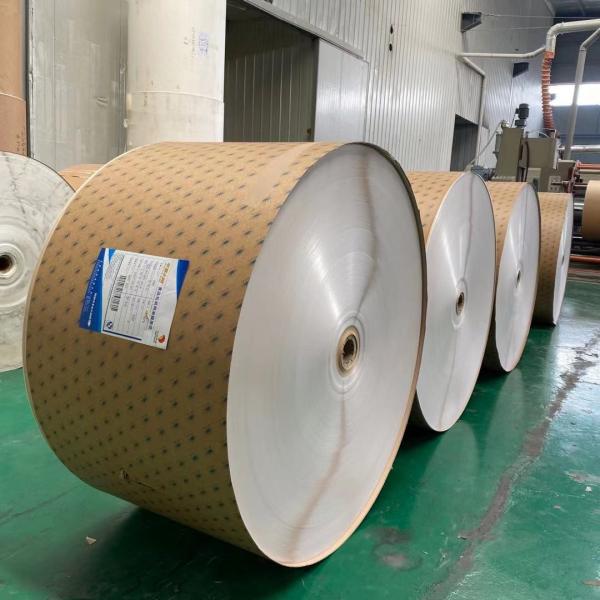 Good Stiffness PE Coated Paper Roll With Customized Size High Quality