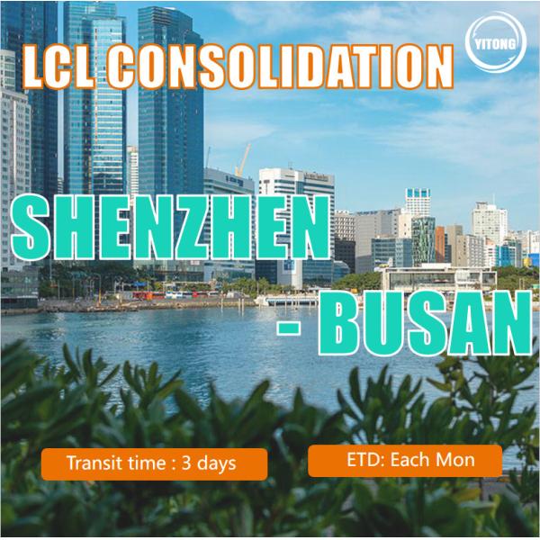 LCL Consolidation From Shenzhen To Busan