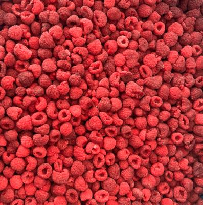 High Quality  Frozen Whole Raspberries