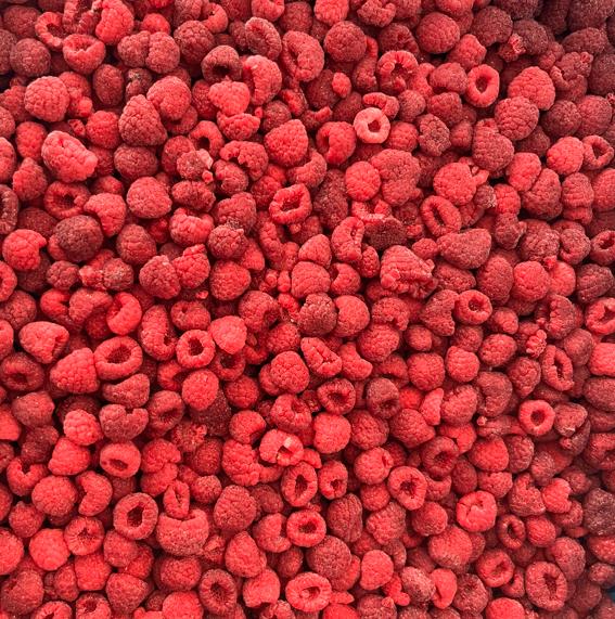 High Quality IQF Frozen Whole Raspberries in Bulk Carton Packed
