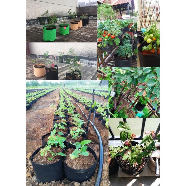 L'usine non-tissée réutilisée de poinçon d'aiguille élèvent des sacs réutilisés pour le jardin